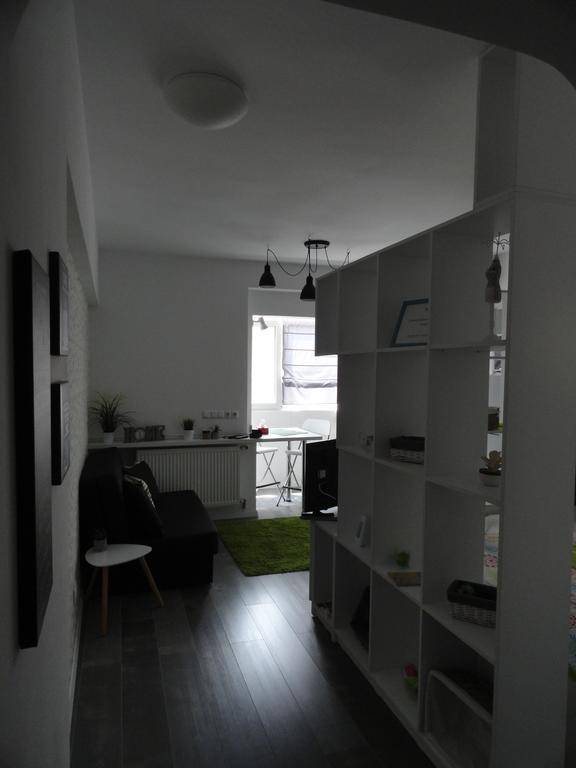 Cozy Central Studio Букурещ Екстериор снимка